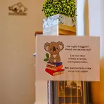 La Casa Del Koala *